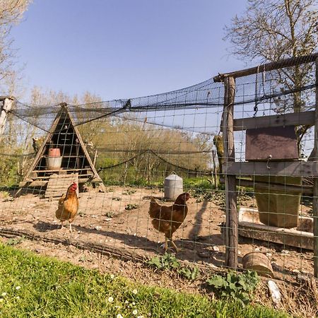 Frossay Gite Champetre Renove Avec Terrasse & Equipements, Proche Pornic - Animaux Acceptes - Fr-1-306-1027 빌라 외부 사진