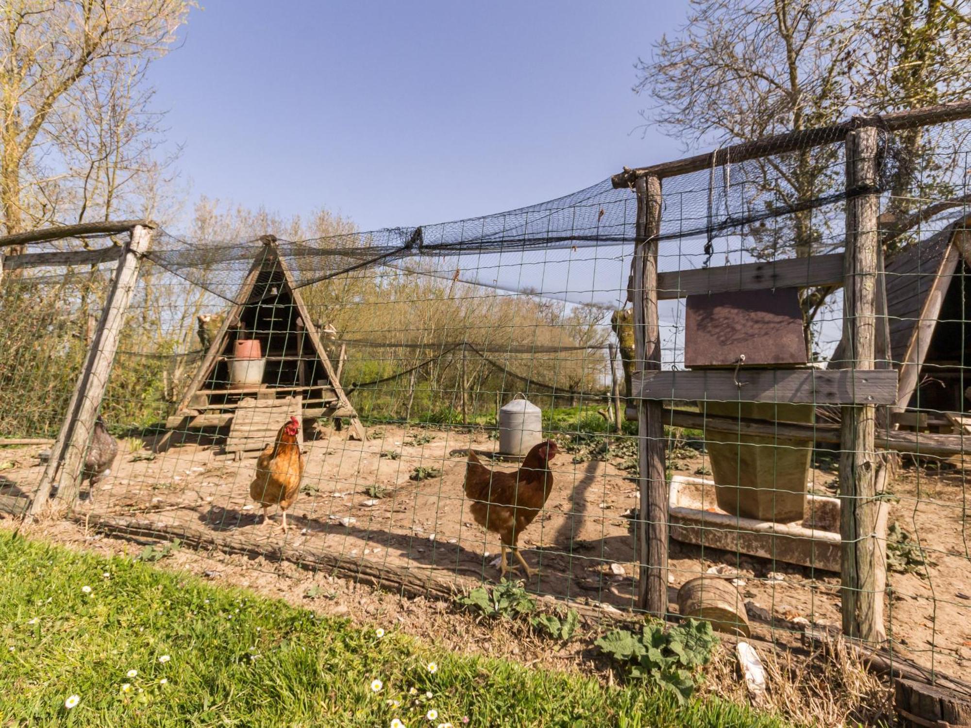 Frossay Gite Champetre Renove Avec Terrasse & Equipements, Proche Pornic - Animaux Acceptes - Fr-1-306-1027 빌라 외부 사진
